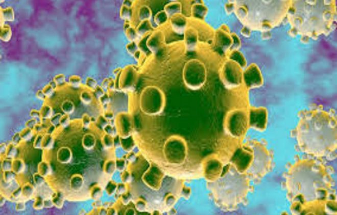coronavirus